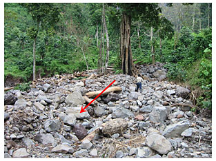 Photo 3: Headwater area of the mainstream of Denoyo River