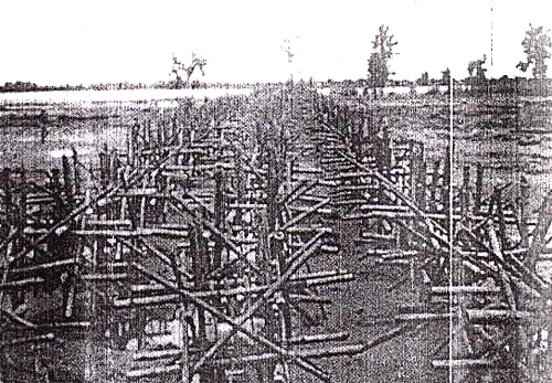 Figure 17 - three rows of porcupine units laid in position 